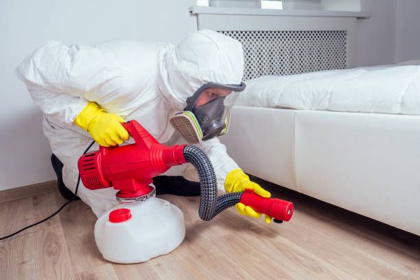 Best Real Estate Pest Inspections  in Tontitown, AR